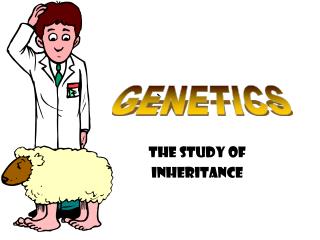 The Study of Inheritance