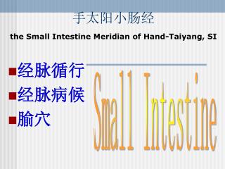 手太阳小肠经 the Small Intestine Meridian of Hand-Taiyang, SI