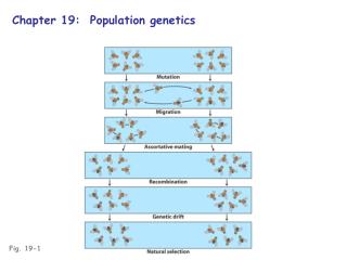 Fig. 19-1