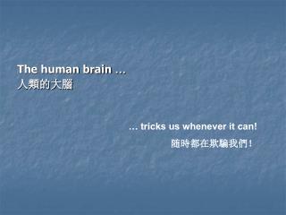 The human brain … 人類的大腦
