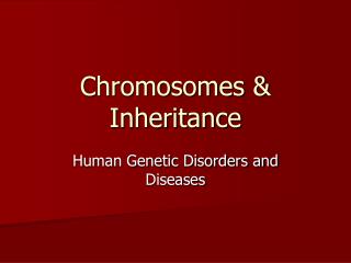 Chromosomes &amp; Inheritance