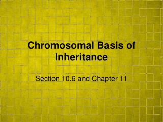 Chromosomal Basis of Inheritance