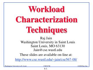 Workload Characterization Techniques