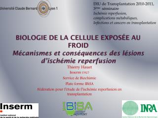 Thierry Hauet Inserm U927 Service de Biochimie Plate forme IBiSA