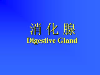 消 化 腺