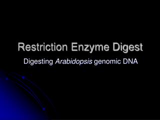 Restriction Enzyme Digest