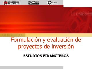 Formulación y evaluación de proyectos de inversión