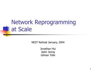 Network Reprogramming at Scale