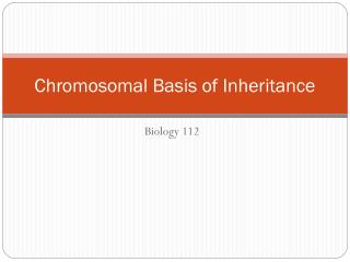 Chromosomal Basis of Inheritance