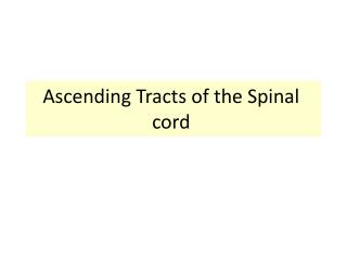 Ascending Tracts of the Spinal cord