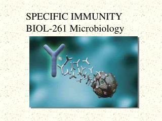 SPECIFIC IMMUNITY BIOL-261 Microbiology