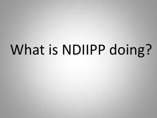 What is NDIIPP doing?