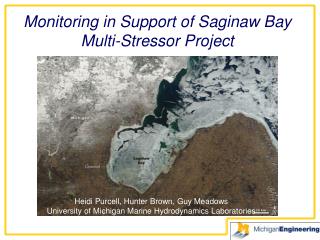 Monitoring in Support of Saginaw Bay Multi-Stressor Project