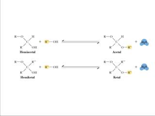 Figure 7.16 Acetals and ketals can be formed from hemiacetals and hemiketals, respectively.