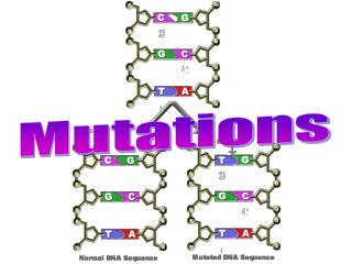 Mutations