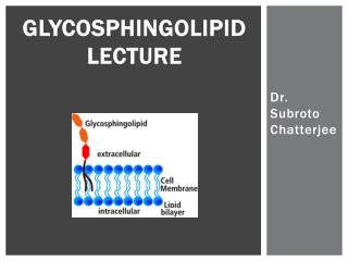 GLYCOSPHINGOLIPID LECTURE