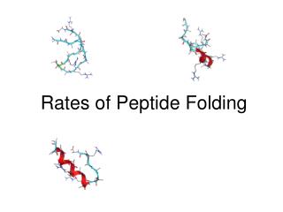 Rates of Peptide Folding