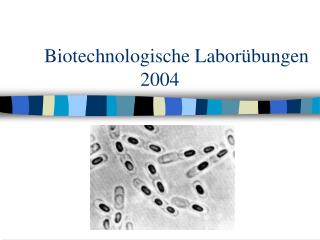 Biotechnologische Laborübungen 			2004