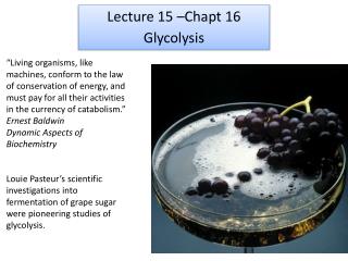 Lecture 15 –Chapt 16 Glycolysis