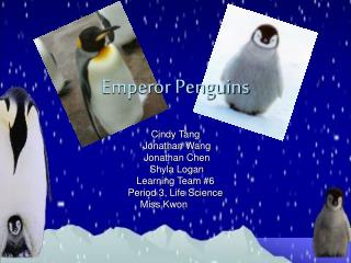 Emperor Penguins