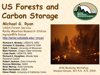 US Forests and Carbon Storage