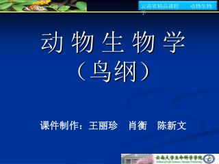 动 物 生 物 学 （鸟纲）