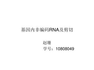 基因内非编码 RNA 及剪切