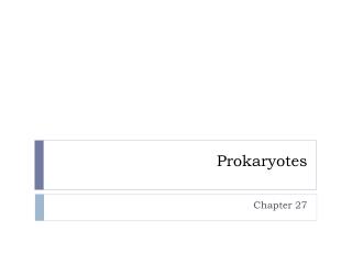 Prokaryotes