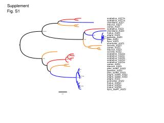 Fig. S1