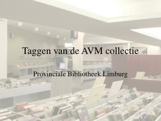 Taggen van de AVM collectie