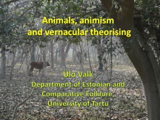 Animals , animism and vernacular theorising