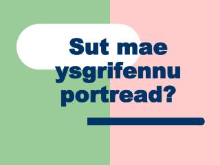 Sut mae ysgrifennu portread?