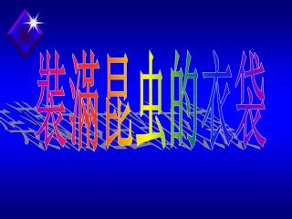 裝滿昆虫的衣袋