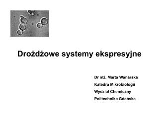 Drożdżowe systemy ekspresyjne