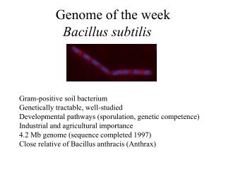 Genome of the week