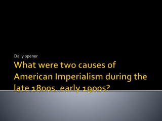 What were two causes of American Imperialism during the late 1800s. early 1900s?