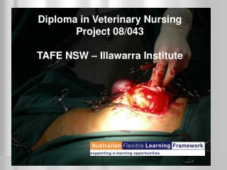 Diploma in Veterinary Nursing Project 08/043 TAFE NSW – Illawarra Institute