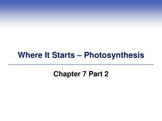 Where It Starts – Photosynthesis