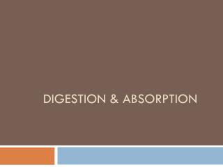 Digestion &amp; absorption