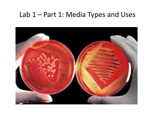 Lab 1 – Part 1: Media Types and Uses