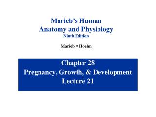 Chapter 28 Pregnancy, Growth, &amp; Development Lecture 21