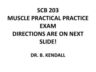 SCB 203 MUSCLE PRACTICAL PRACTICE EXAM DIRECTIONS ARE ON NEXT SLIDE! DR. B. KENDALL