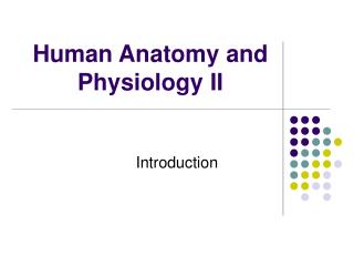 Human Anatomy and Physiology II