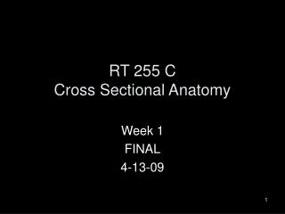 RT 255 C Cross Sectional Anatomy