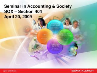 Seminar in Accounting &amp; Society SOX – Section 404 April 20, 2009