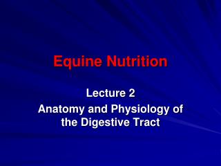 Equine Nutrition