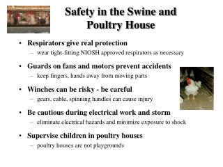 Safety in the Swine and Poultry House