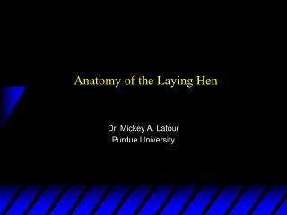 Anatomy of the Laying Hen