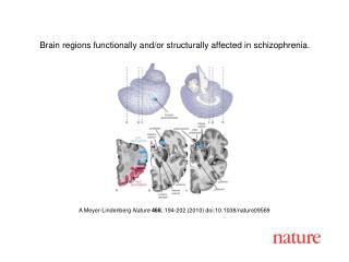 A Meyer-Lindenberg Nature 468 , 194-202 (2010) doi:10.1038/nature09569