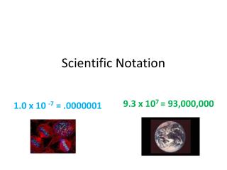 Scientific Notation